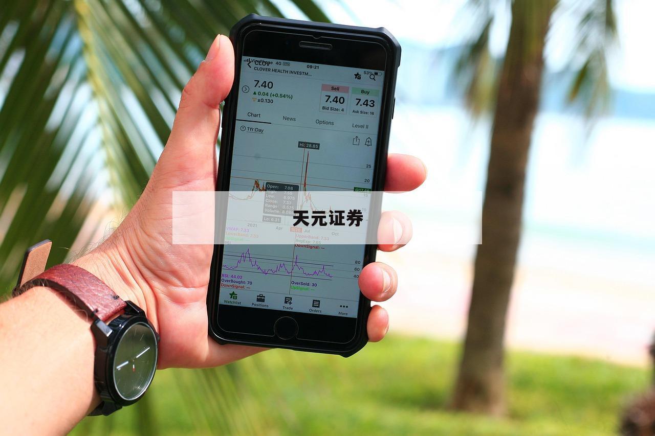 制胜黄金市场：配资策略全面解析